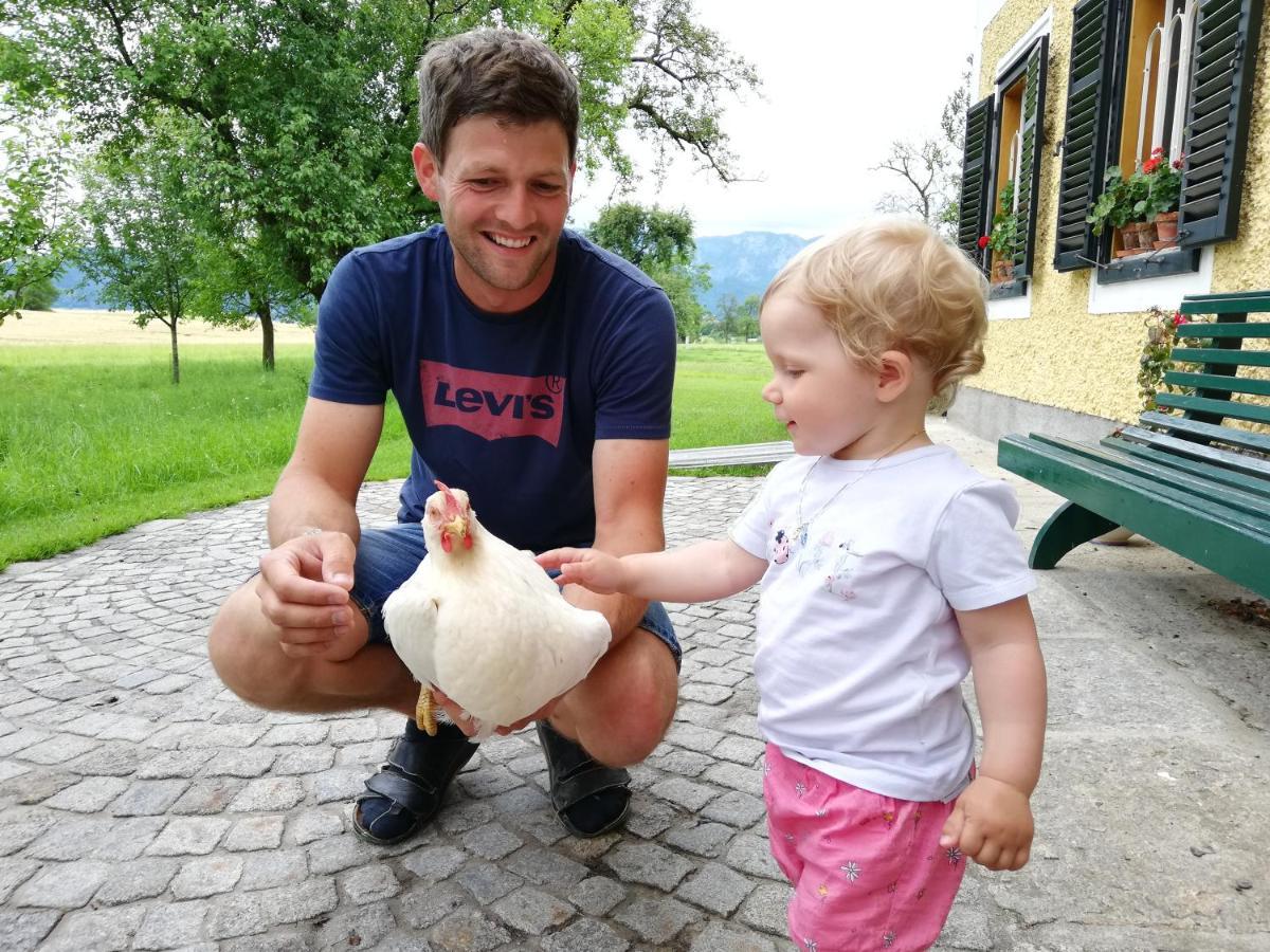 Вилла Weslhof Attersee Экстерьер фото