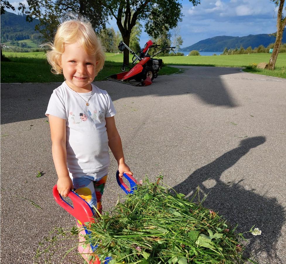 Вилла Weslhof Attersee Экстерьер фото