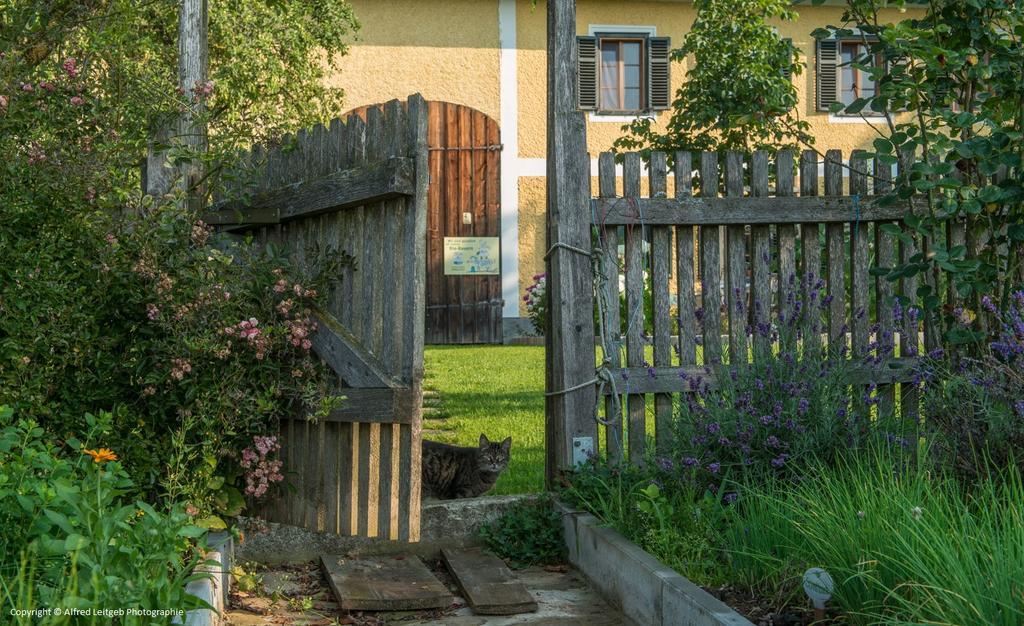 Вилла Weslhof Attersee Экстерьер фото