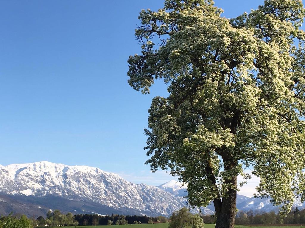 Вилла Weslhof Attersee Экстерьер фото