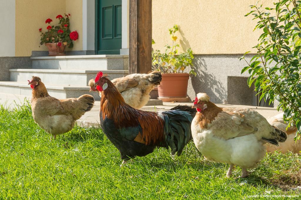 Вилла Weslhof Attersee Экстерьер фото