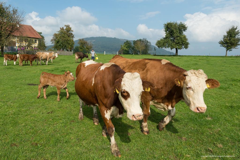 Вилла Weslhof Attersee Экстерьер фото